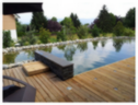 Photo de terrasse et piscine naturelle